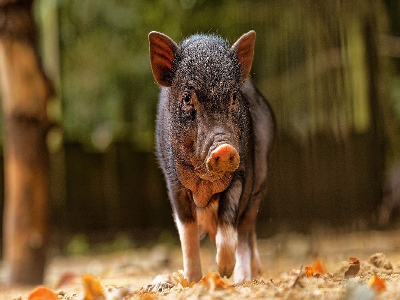 福州代怀最好医院,泰国试管价格高吗？-福州有没有供卵机构_福州供卵试管医院