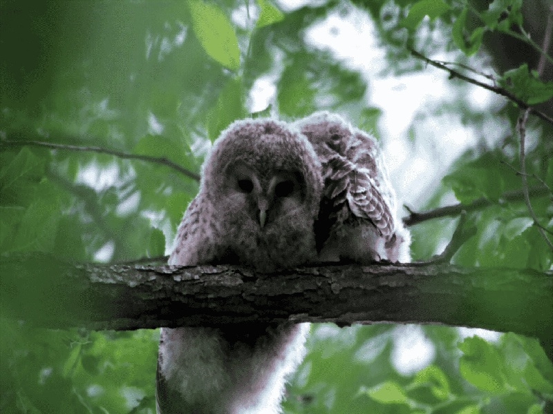 <strong>为什么试管向上（男性不育检查费用）</strong>